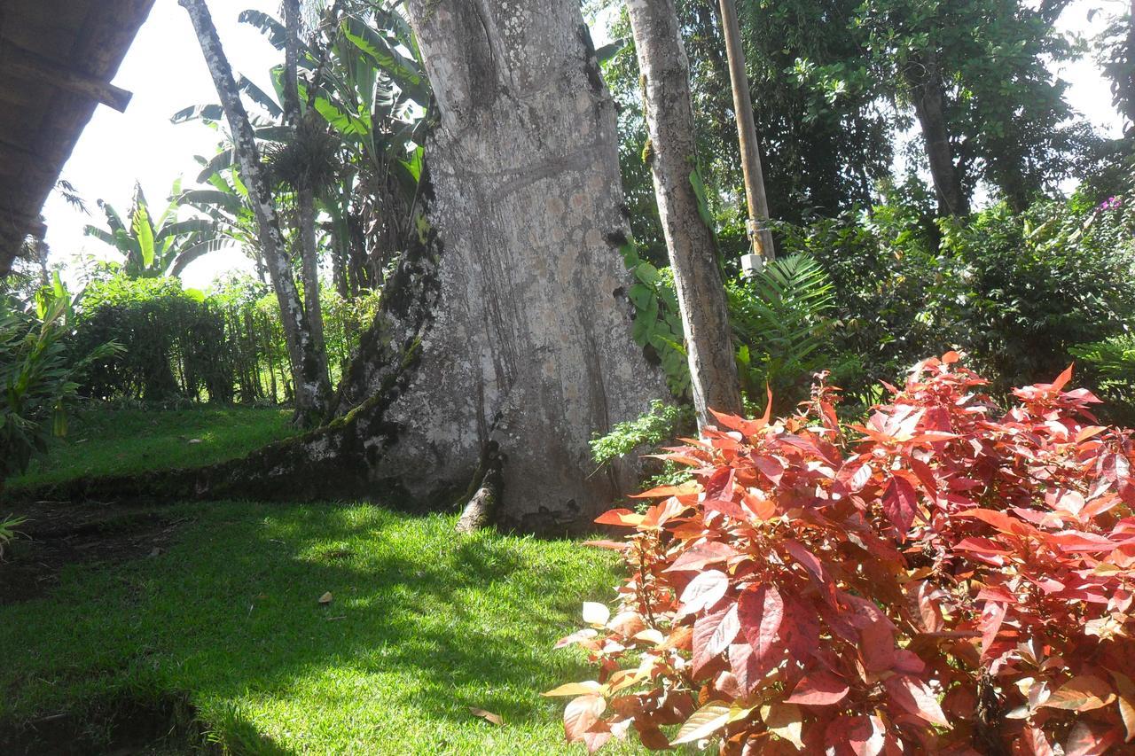 Estancia La Colina Santo Domingo de los Colorados Extérieur photo